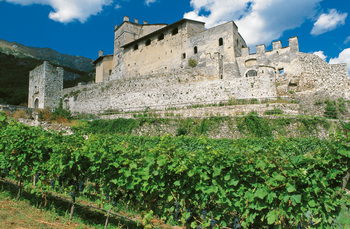 Isera, le vigne eccellenti della Vallagarina