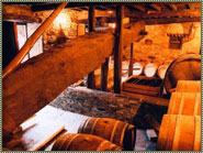 Cacabelos, distese di vigneti lungo il Cammino di Santiago