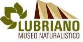 Lazio, Lubriano (Vt): Museo naturalistico
