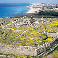 Parco archeologico di Selinunte e Cave di Cusa
