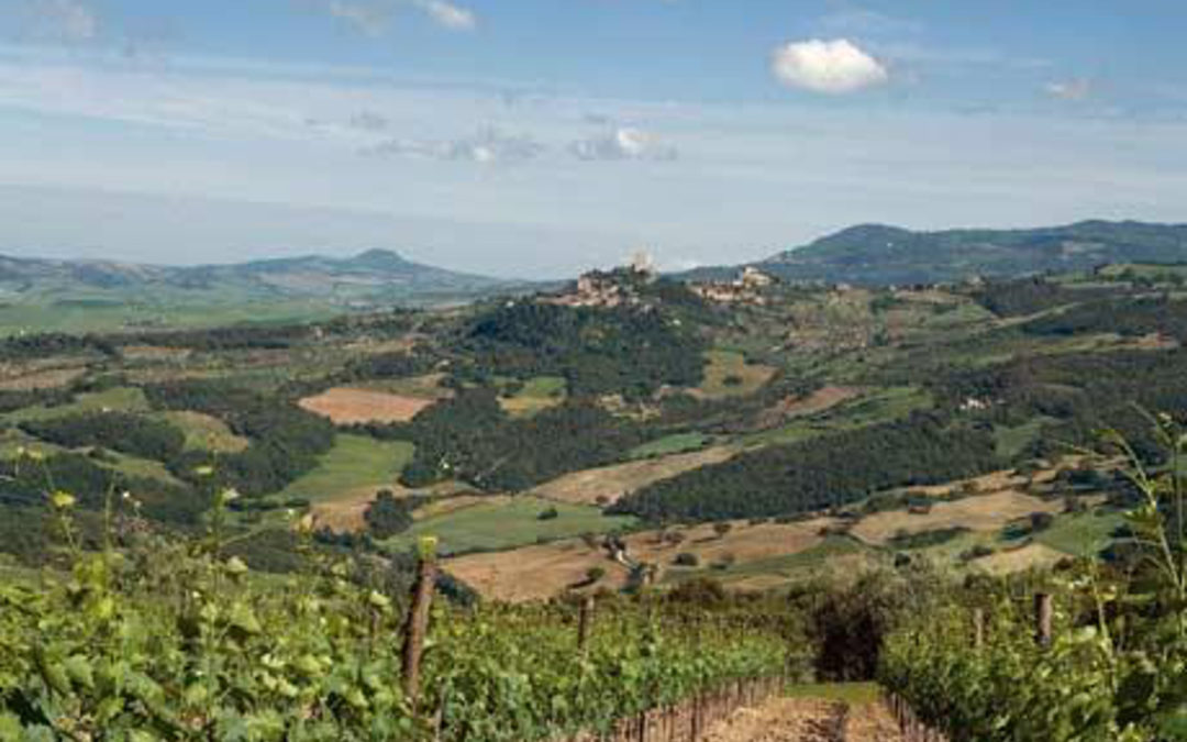 Enoregioni italiane: Terre di Montepulciano e Orcia