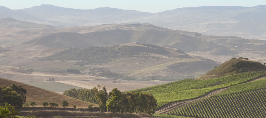 Enoregioni italiane: Sicilia Occidentale Interna