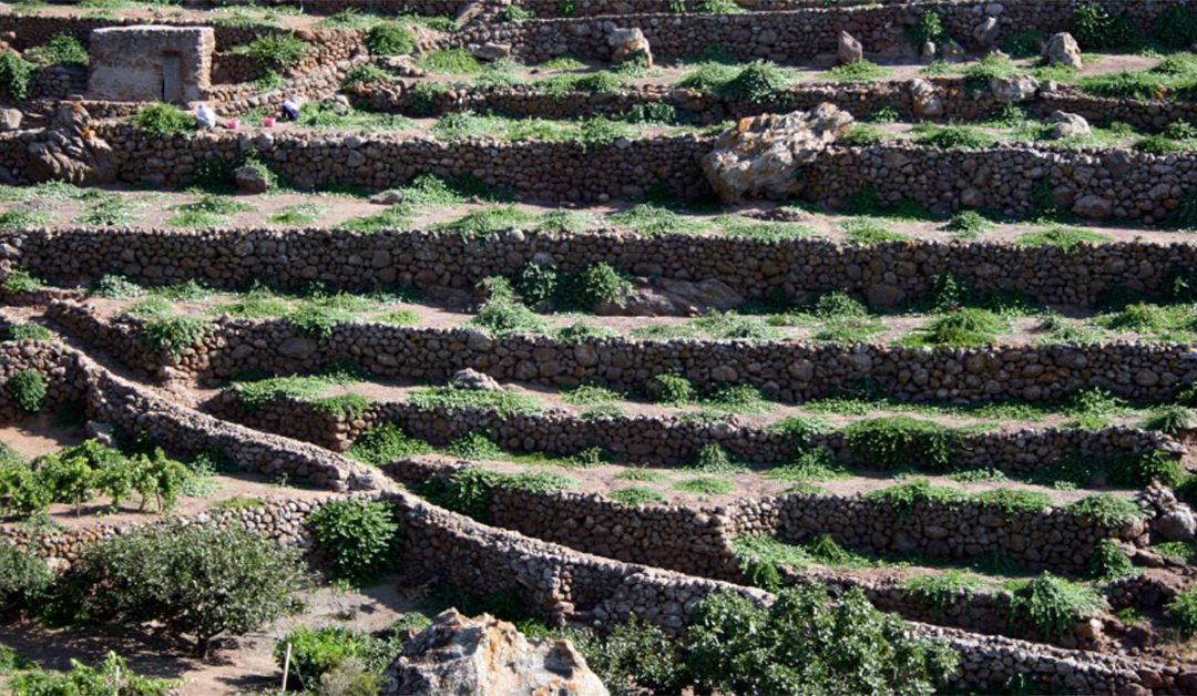 Pantelleria nel Registro Nazionale dei Paesaggi Rurali Storici
