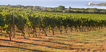 ENOREGIONI ITALIANE: COSTA NORD OCCIDENTALE