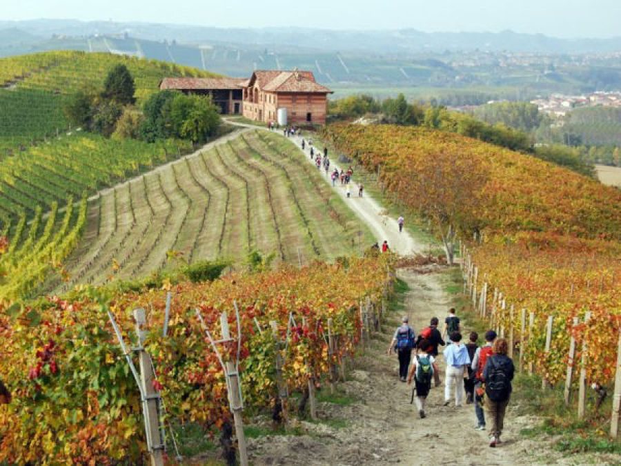 Denominazioni d’origine e turismo del vino