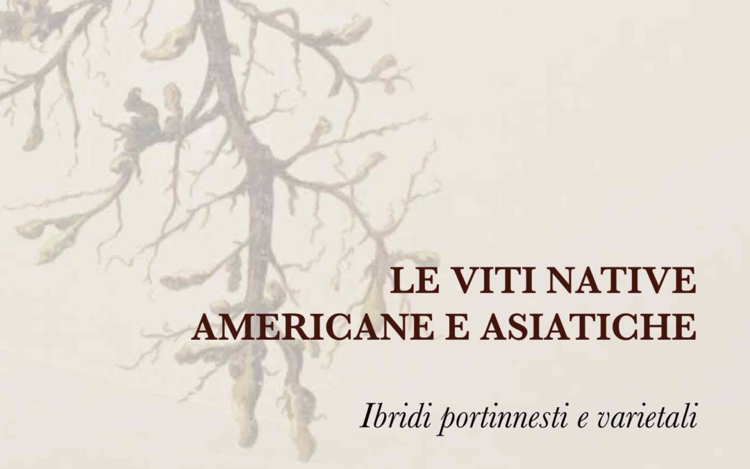 “Le viti americane e asiatiche. Ibridi portinnesti e varietali”