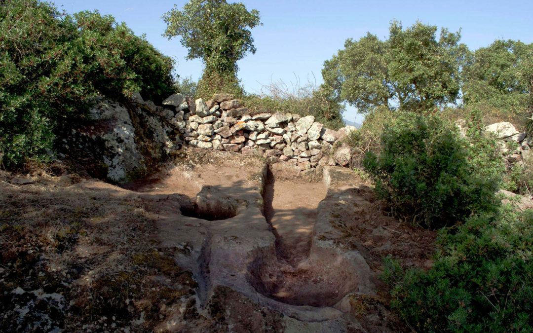 I palmenti di Ruinas