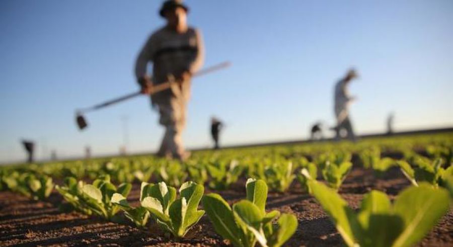 “Italia Contadina – Dall’esodo rurale al ritorno alla campagna”